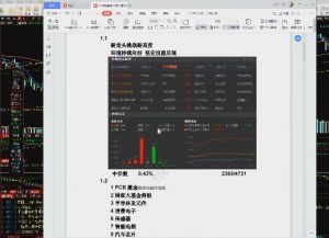 【极道】《作手逍遥风逍遥风系列课之每日复盘内训课》网盘课程下载-爱雅微课