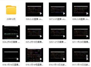 【龙行刺】《龙空龙 龙家军最新2023年12月到2024年2月底 视频 24个》网盘课程下载-爱雅微课