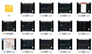 【梧桐CC】《梧桐CC-2024年1月-2月直播视频课 42个》网盘课程下载-爱雅微课