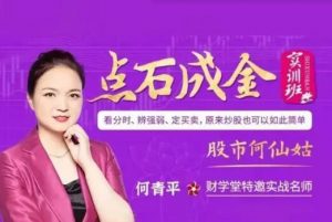 【何青平】《何青平点石成金系统课20节》网盘课程下载-爱雅微课