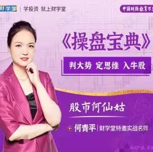 【财学堂】《何青平6月-8月 何青平点石成金小班课+指标》网盘课程下载-爱雅微课