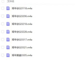 【姆爷的守护】《2024年姆爷的守护会议主题姆爷策略会议音频合集》网盘课程下载-爱雅微课