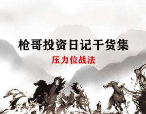 【枪哥】《枪哥投资日记干货集-压力位战法》网盘课程下载-爱雅微课