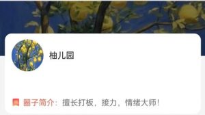 【柚儿园】《大柚子笔记2024年4月大柚子盘面深度学柚儿园专属解读》网盘课程下载-爱雅微课
