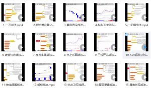 【吴大葱】《吴大葱咖米学堂大葱精选武器库重点视频课程21集》网盘课程下载-爱雅微课
