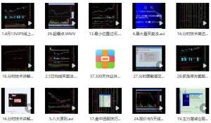 【中金学院】《中金学院狙击手 股票实战技巧培训讲座48视频》网盘课程下载-爱雅微课