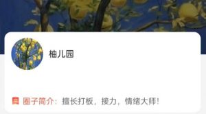 【柚儿园】《大柚子笔记2024年4月大柚子盘面深度学柚儿园专属解读》网盘课程下载-爱雅微课