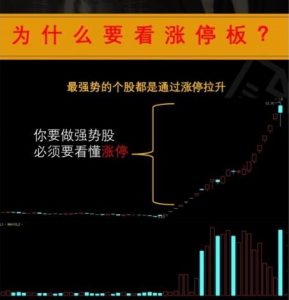 【李晓光】《李晓光:涨停板定向终极课程》网盘课程下载-爱雅微课