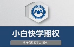 【王勇】《王勇 小白快学期权视频教程(9讲)》网盘课程下载-爱雅微课