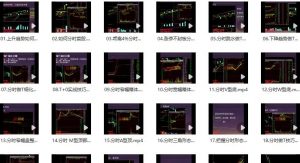 【龟股堂】《股票T+0实战秘籍 分时做T技巧 共32集》网盘课程下载-爱雅微课