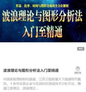 【陈译辉】《陈译辉 波浪理论与图形分析法入门至精通》网盘课程下载-爱雅微课