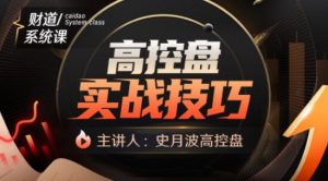 【史月波】原价9800元的《史月波 高控盘实战技巧》网盘课程下载-爱雅微课