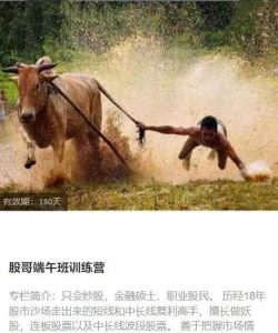 【只会炒股】《股哥2023年6-8月 端午班训练营视频课程 共16视频》网盘课程下载-爱雅微课