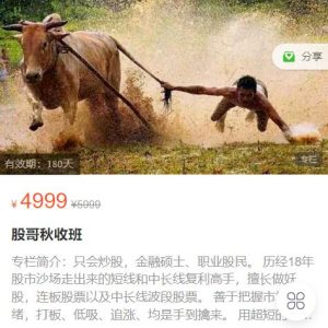 【只会炒股】原价4999元的《只会炒股2023年8-10月 股哥秋收班视频课程 共16视频》网盘课程下载-爱雅微课