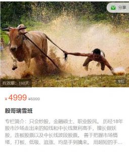【只会炒股】原价4999元的《只会炒股2023年11-12月 瑞雪班视频课程 共16视频》网盘课程下载-爱雅微课