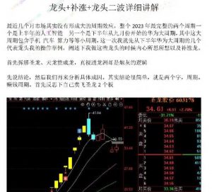 【偏执短线】《偏执短线2024圈内教学文档》网盘课程下载-爱雅微课
