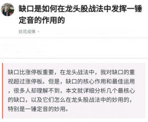 【捻花成佛】《缺口战法:缺口是如何在龙头股战法中发挥一锤定音的作用的 pdf文档》网盘课程下载-爱雅微课