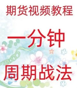 【新期程】《一分钟周期战法 日内高频炒单买卖点策略 实战技术期货视频》网盘课程下载-爱雅微课