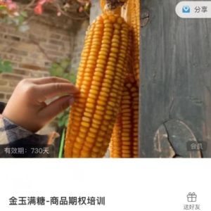 【小马】《小马白话期权-金玉满糖-商品期权培训》网盘课程下载-爱雅微课