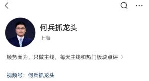 【何兵】《何兵抓主线 发哥龙头战法课》网盘课程下载-爱雅微课