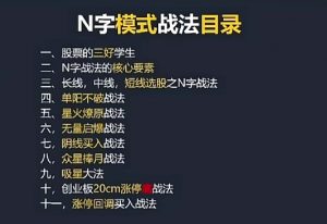【王牌战法】《涨停N字战法视频教程 10集》网盘课程下载-爱雅微课