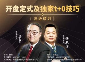 【杨殿方】《杨殿方 开盘定式及独家t+0技巧》网盘课程下载-爱雅微课