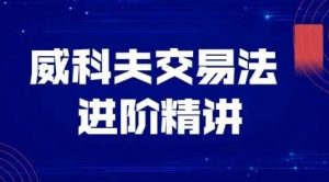 【飞云金教】《飞云金教 威科夫量价分析》网盘课程下载-爱雅微课