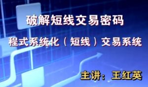 【王红英】《期货日内短线交易技术视频教程波段战法视频 13集》网盘课程下载-爱雅微课