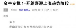【TGB湖南人】《TGB湖南人241007 金牛专栏1-开篇喜迎上涨趋势阶段 PDF文章》网盘课程下载-爱雅微课