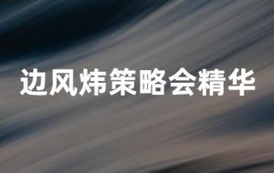 【边风炜】《边风炜 2024年10月 策略会精选篇(上)(下)2视频》网盘课程下载-爱雅微课