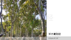 【半木夏】《币圈半木夏 战法策略1年400倍的交易细则、均线技术分析、半木夏语录》网盘课程下载-爱雅微课
