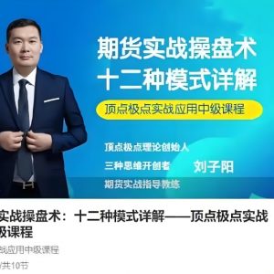 【刘子阳】《刘子阳期货实战操盘术:十二种模式详解——顶点极点实战应用中级课程》网盘课程下载-爱雅微课