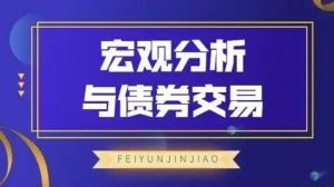 【飞云金教】《宏观分析及债券交易》网盘课程下载-爱雅微课