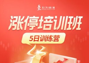 【无为】《涨停培训班 5日特训营-无为二师兄李栋》网盘课程下载-爱雅微课