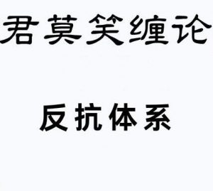 【君莫笑缠论】《新版反抗体系课程28课全》网盘课程下载-爱雅微课