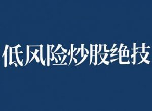 【张月】《张月老师2024低风险股票实操营,低风险,高回报》网盘课程下载-爱雅微课