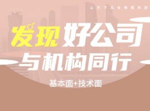 【马思南】《马思南季版-投资策略班基本面+技术面2022》网盘课程下载-爱雅微课