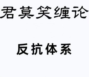 【君莫笑缠论】《反抗体系提高班技术课程24讲》网盘课程下载-爱雅微课