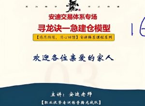 【无为】《安迪交易体系专场 寻龙诀一急建仓模型》网盘课程下载-爱雅微课