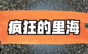 【疯狂的里海】《疯狂的里海投资周记里海的直播2024.11》网盘课程下载-爱雅微课