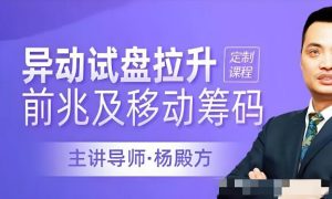 【杨殿方】《异动试盘拉升前兆及移动筹码洞察主力意图》网盘课程下载-爱雅微课