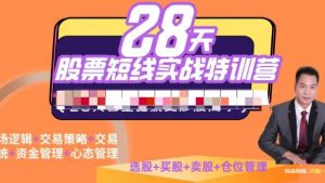 【天智一飞】《一飞金融28天股票职业短线特训营06期》网盘课程下载-爱雅微课