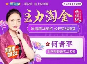 【何青平】《主力淘金特训班主力狙击,何青平浓缩精华绝招公开实战秘笈》网盘课程下载-爱雅微课