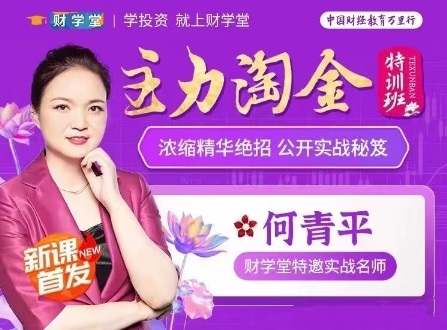 【何青平】《主力淘金特训班主力狙击，何青平浓缩精华绝招公开实战秘笈》网盘课程下载-爱雅微课