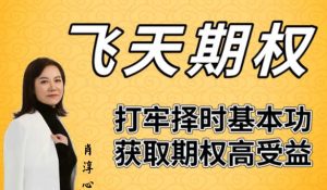 【肖淳心】《肖淳心飞天期权 · 裸K择时课》网盘课程下载-爱雅微课