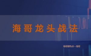 【海哥】《淘金术 海哥龙头战法》网盘课程下载-爱雅微课