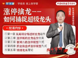 【冯国磊】《涨停擒龙-如何捕捉超级龙头股 系统课》网盘课程下载-爱雅微课