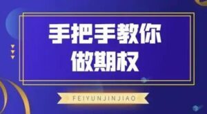 【飞云金教】《飞云金教 手把手教你做期权》网盘课程下载-爱雅微课