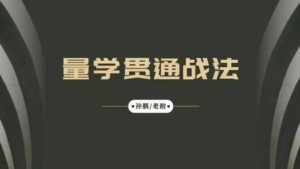 【量学大讲堂】《孙鹏老耐-量学贯通战法直播 第88期》网盘课程下载-爱雅微课
