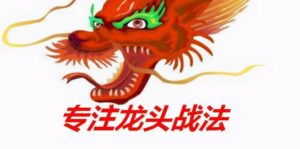 【龙头战法】《2025新更龙头战法系列课程》网盘课程下载-爱雅微课